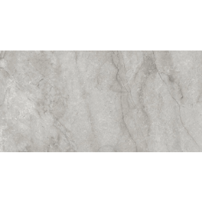 Paradiso Argento - porcelain tile